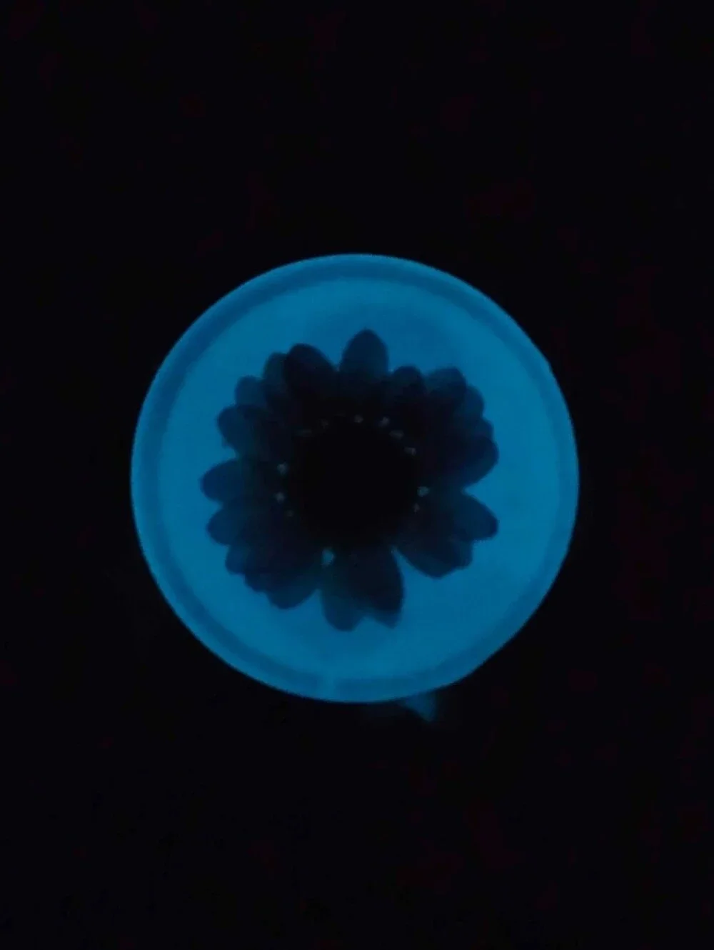 Handmade Blue Glow in the Dark Purple Flower Resin Phone Grip Cute Whimsical